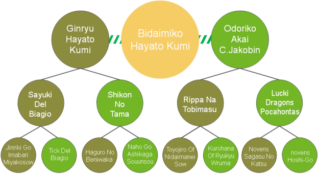 20200421_Pedigrees_Bidaimiko