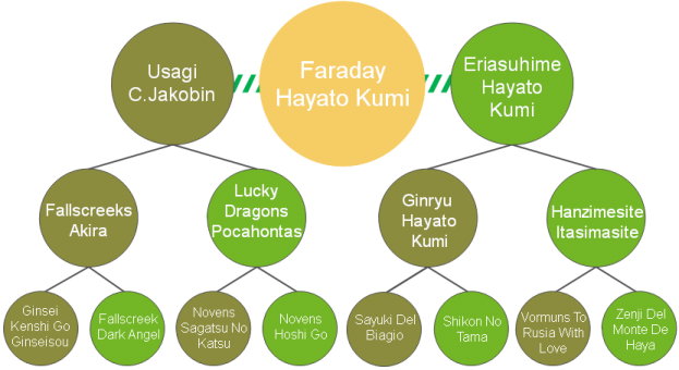 20200421_Pedigrees_Faraday