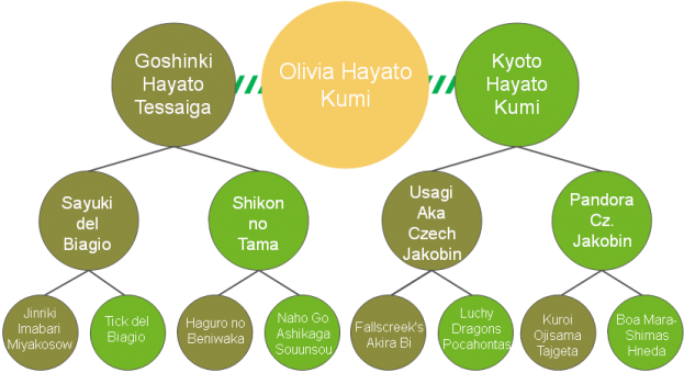 20200421_Pedigrees_Olivia