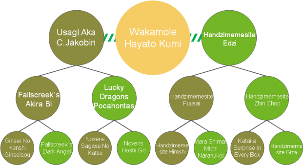 20200421_Pedigrees_Wakamole